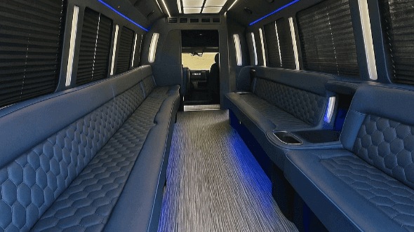 Interior of Dover Party Bus Company's 20 Passenger Party Bus in Dover