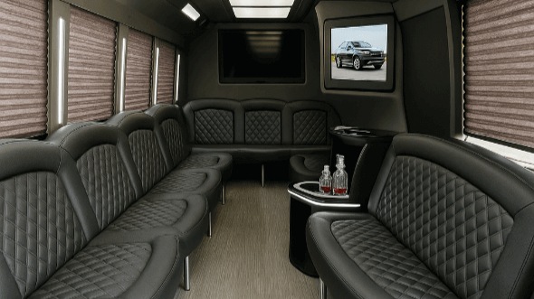28 Passenger Party Bus Interior